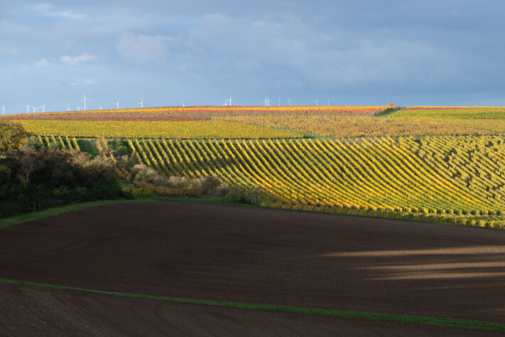 Canon RF 135mm 1.8 L IS USM Test - Schärfe & Bokeh genau angeschaut 39