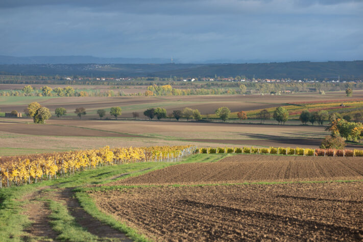 Canon RF 135mm 1.8 L IS USM Test - Schärfe & Bokeh genau angeschaut 40