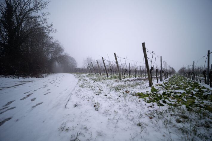 7Artisans 14mm 2.8 Test - G&uuml;nstiges Astro-Objektiv im Check 34