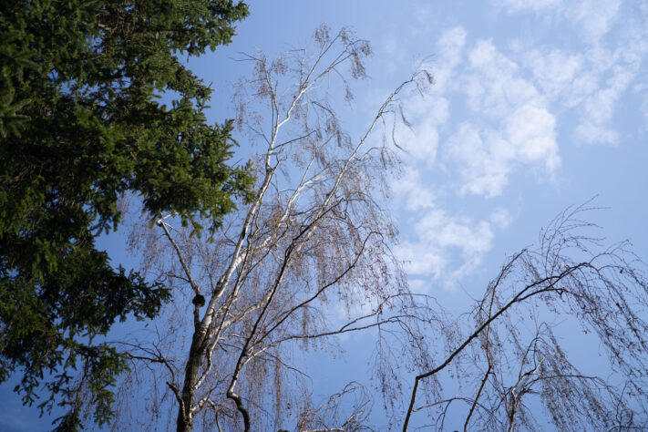 7Artisans 40mm 2.5 Test 28