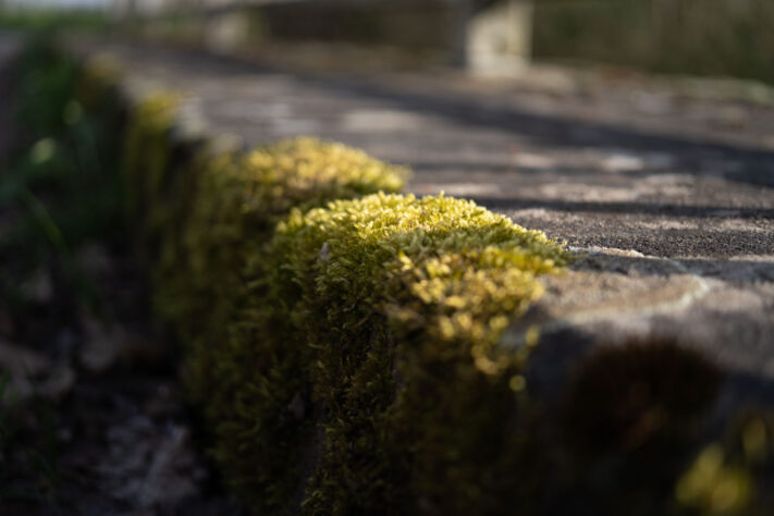 7Artisans 40mm 2.5 Test 32