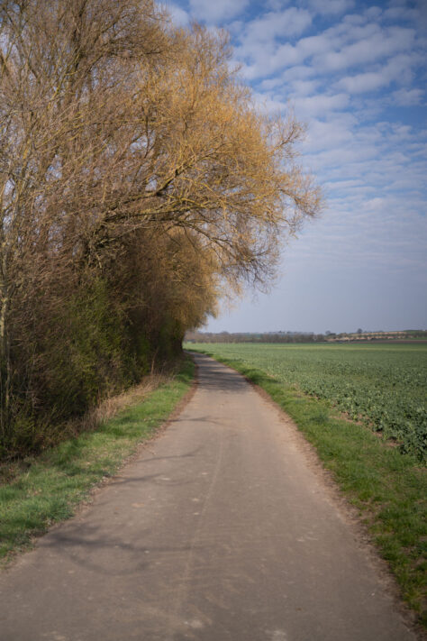 7Artisans 40mm 2.5 Test 10