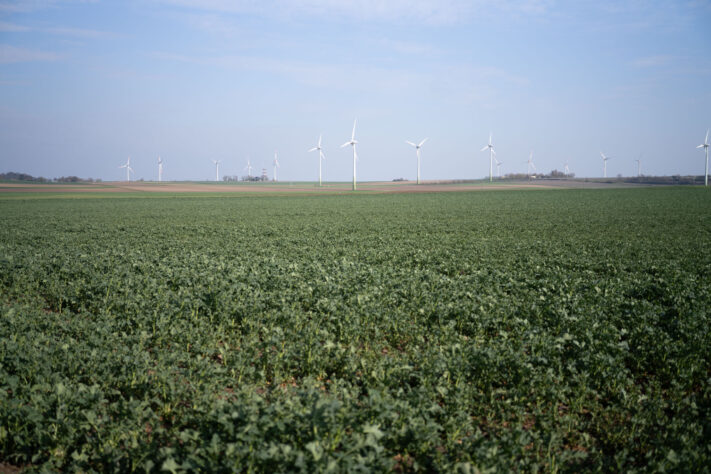 7Artisans 40mm 2.5 Test 38