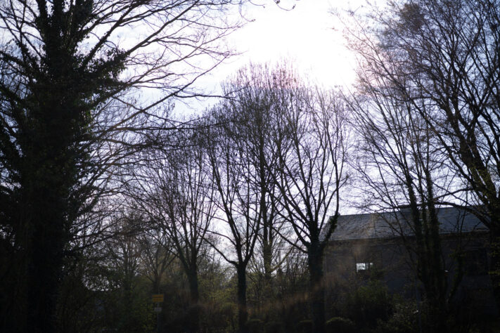 7Artisans 40mm 2.5 Test 66