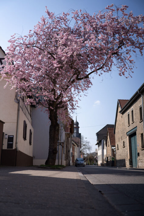 7Artisans 40mm 2.5 Test 63