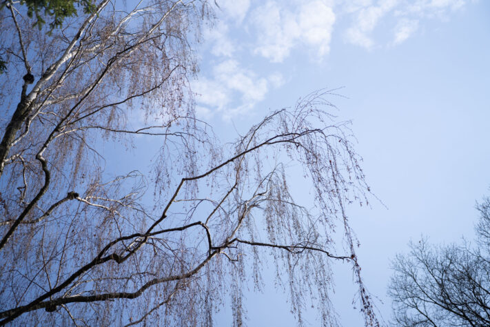 7Artisans 40mm 2.5 Test 27