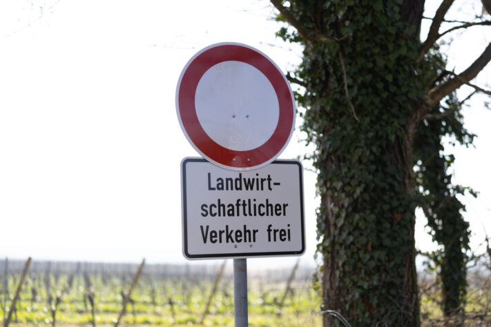 Canon RF 50mm 1.4 L VCM Test 60