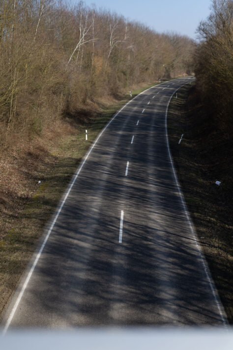 Canon RF 50mm 1.4 L VCM Test 62