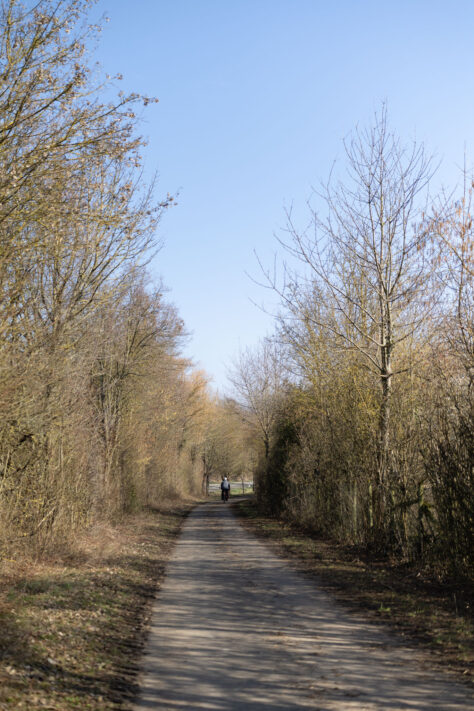 Canon RF 50mm 1.4 L VCM Test 72