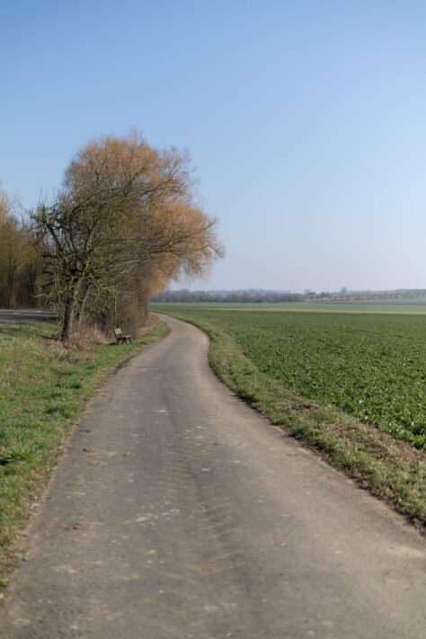 Canon RF 50mm 1.4 L VCM Test 75