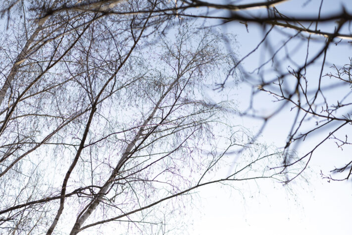 Canon RF 50mm 1.4 L VCM Test 15