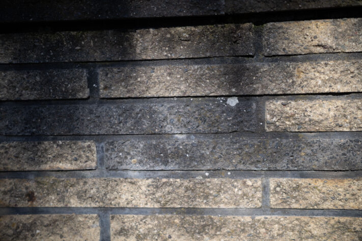 Canon RF 50mm 1.4 L VCM Test 96