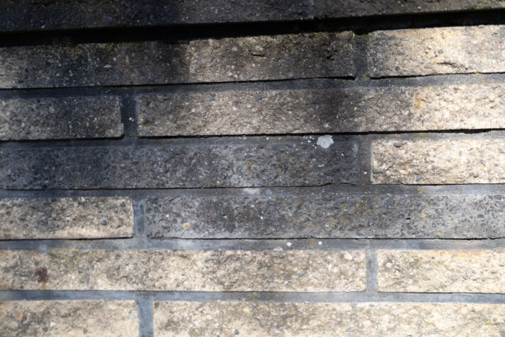 Canon RF 50mm 1.4 L VCM Test 97