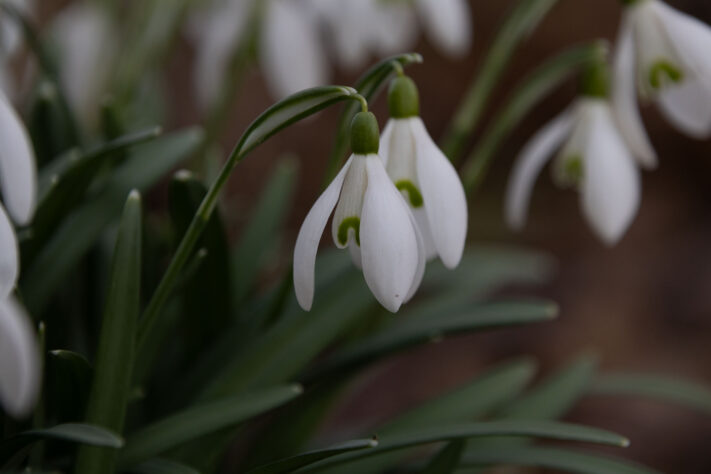 Sigma 16-300mm DC DN OS 3.5-7.1 Contemporary Test 53