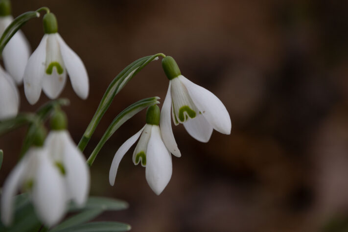 Sigma 16-300mm DC DN OS 3.5-7.1 Contemporary Test 54