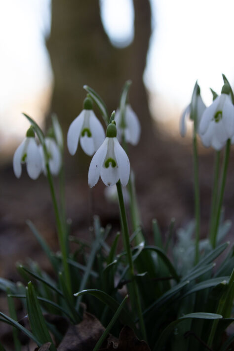 Sigma 16-300mm DC DN OS 3.5-7.1 Contemporary Test 56