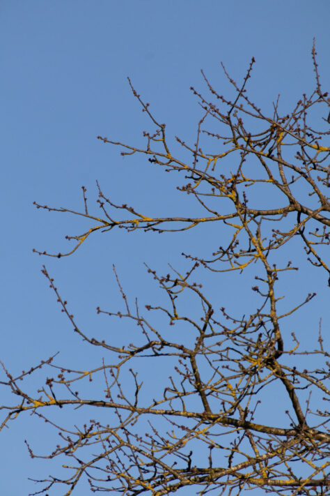 Sigma 16-300mm DC DN OS 3.5-7.1 Contemporary Test 14