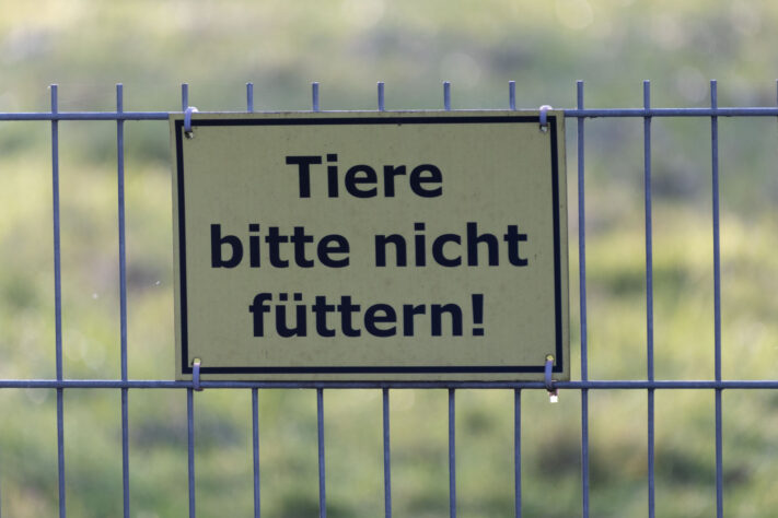 Sigma 16-300mm DC DN OS 3.5-7.1 Contemporary Test 7