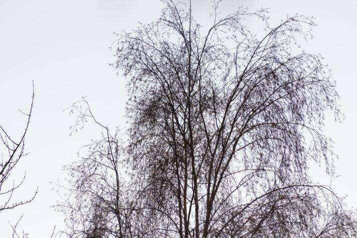 Sigma 16-300mm DC DN OS 3.5-7.1 Contemporary Test 15