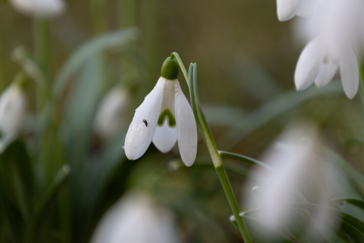 Sigma 16-300mm DC DN OS 3.5-7.1 Contemporary Test 59