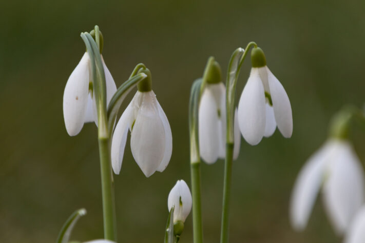 Sigma 16-300mm DC DN OS 3.5-7.1 Contemporary Test 60