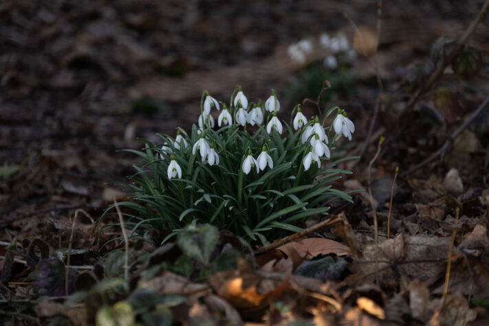 Sigma 16-300mm DC DN OS 3.5-7.1 Contemporary Test 51