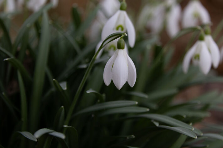 Sigma 16-300mm DC DN OS 3.5-7.1 Contemporary Test 52