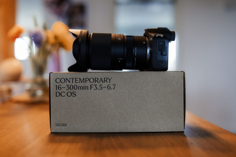 Sigma 16-300mm DC DN OS 3.5-7.1 Contemporary Test