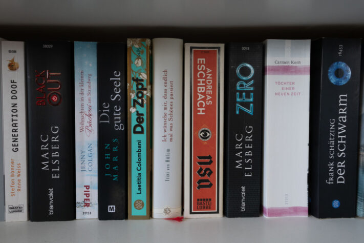 Sigma 18-50mm 2.8 Contemporary Test & Review: Das APS-C Allround-Zoom 11