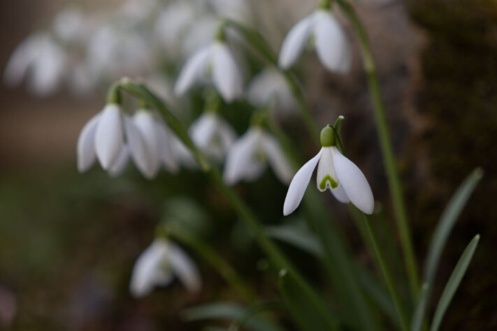 Sigma 18-50mm 2.8 Contemporary Test & Review: Das APS-C Allround-Zoom 42