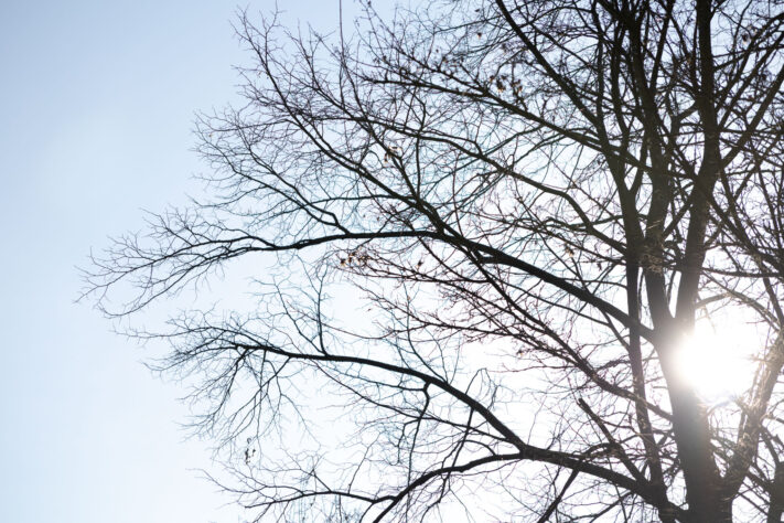 Sigma 18-50mm 2.8 Contemporary Test & Review: Das APS-C Allround-Zoom 18