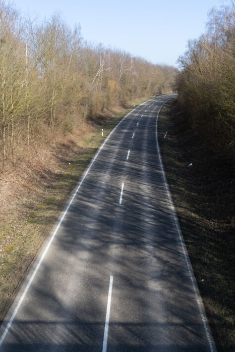 Sigma 18-50mm 2.8 Contemporary Test & Review: Das APS-C Allround-Zoom 30