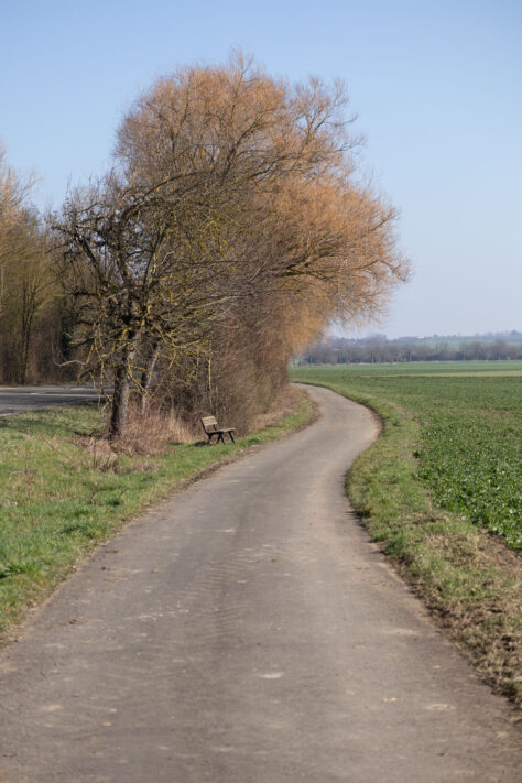 Sigma 18-50mm 2.8 Contemporary Test & Review: Das APS-C Allround-Zoom 34