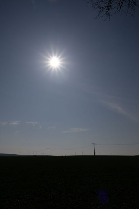 Sigma 18-50mm 2.8 Contemporary Test & Review: Das APS-C Allround-Zoom 54