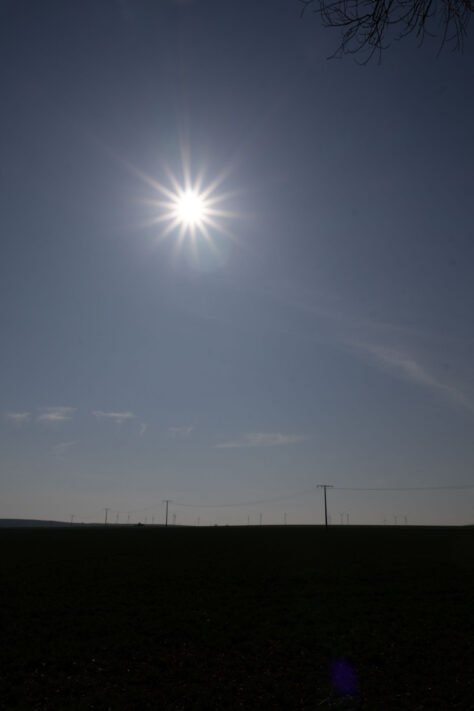 Sigma 18-50mm 2.8 Contemporary Test & Review: Das APS-C Allround-Zoom 55