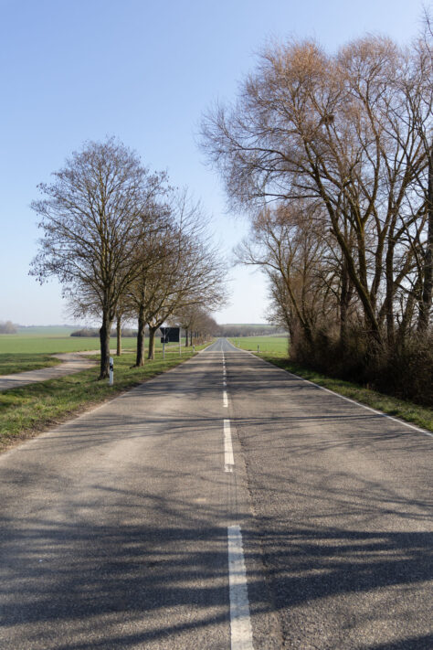 Sigma 18-50mm 2.8 Contemporary Test & Review: Das APS-C Allround-Zoom 35