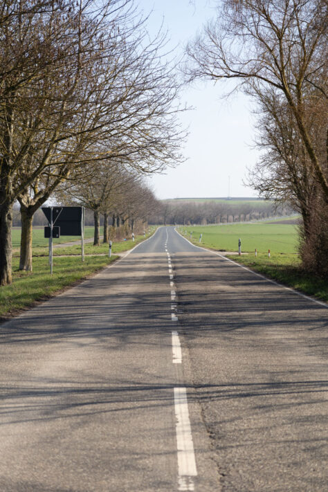 Sigma 18-50mm 2.8 Contemporary Test & Review: Das APS-C Allround-Zoom 36