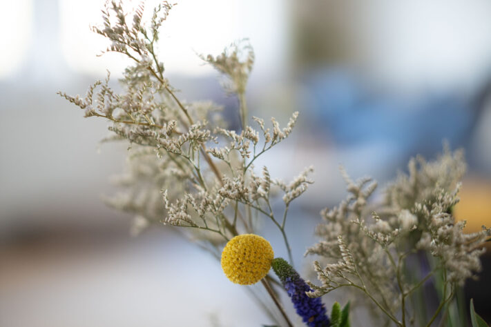 Brightin Star 50mm f/1.4 AF Test - lichtstarkes APS-C Portraitobjektiv 12