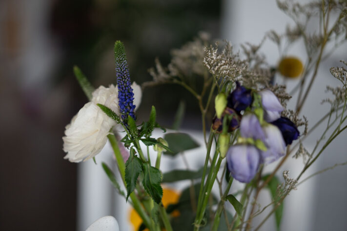 Brightin Star 50mm f/1.4 AF Test - lichtstarkes APS-C Portraitobjektiv 61