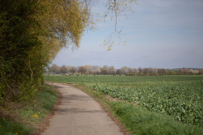 Brightin Star 50mm f/1.4 AF Test - lichtstarkes APS-C Portraitobjektiv 39