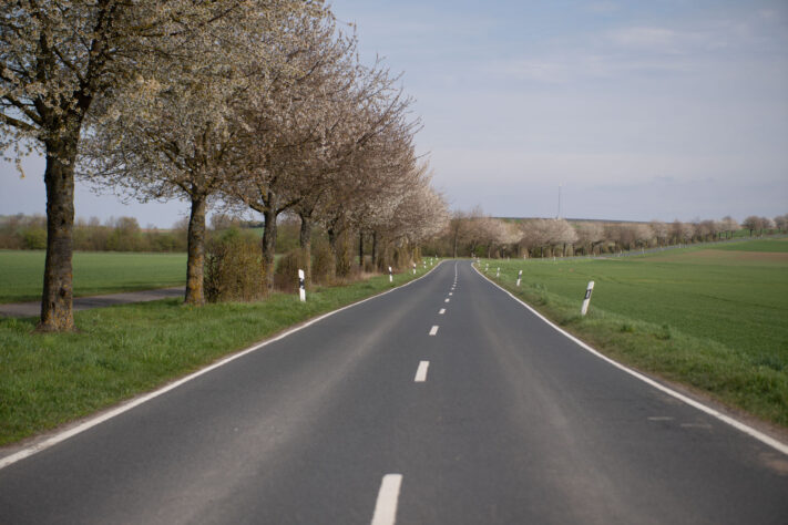 Brightin Star 50mm f/1.4 AF Test - lichtstarkes APS-C Portraitobjektiv 36