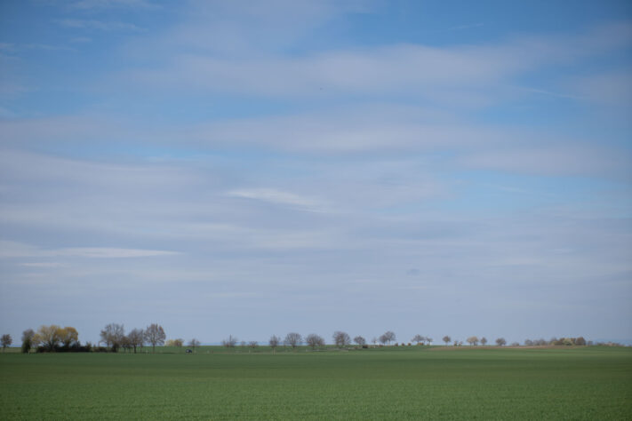 Brightin Star 50mm f/1.4 AF Test - lichtstarkes APS-C Portraitobjektiv 48