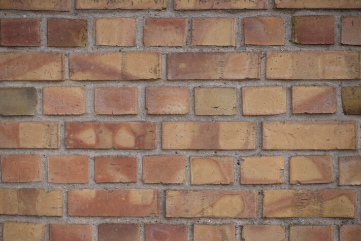 Brightin Star 50mm f/1.4 AF Test - lichtstarkes APS-C Portraitobjektiv 63