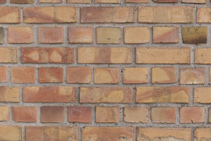 Brightin Star 50mm f/1.4 AF Test - lichtstarkes APS-C Portraitobjektiv 65