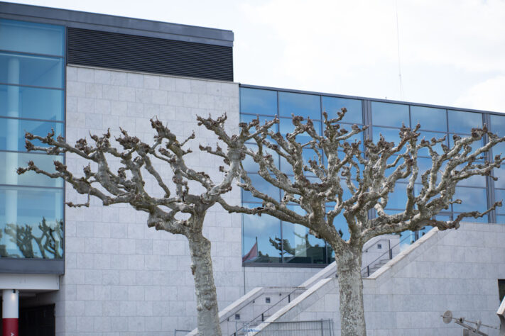 Brightin Star 50mm f/1.4 AF Test - lichtstarkes APS-C Portraitobjektiv 30