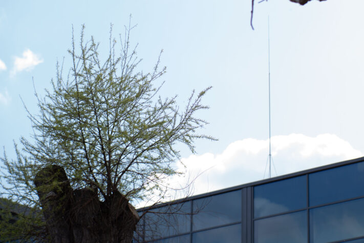 Brightin Star 50mm f/1.4 AF Test - lichtstarkes APS-C Portraitobjektiv 68