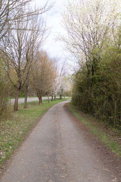 Canon EOS R6 Mark III Test 57