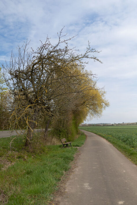 Canon EOS R6 Mark III Test 64