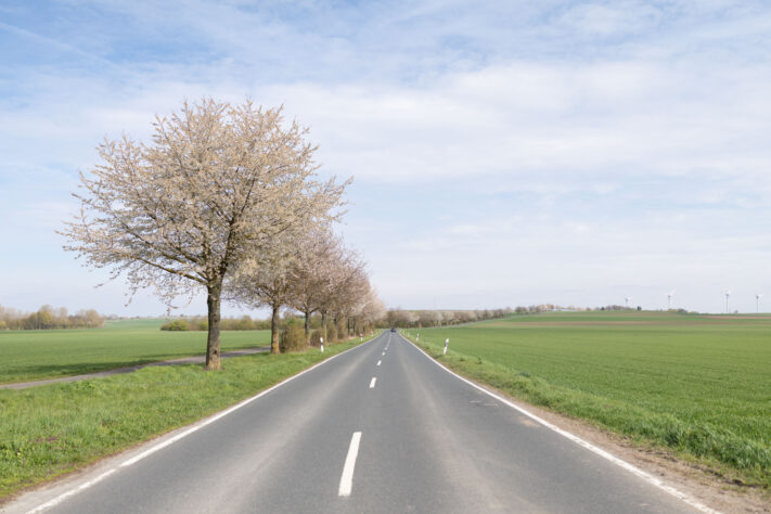 Canon EOS R6 Mark III Test 66