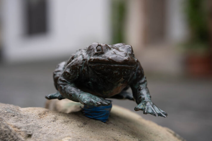 Meike AF 56mm 1.7 AIR Test 44